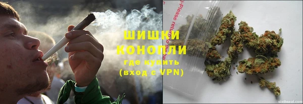 ECSTASY Богородицк